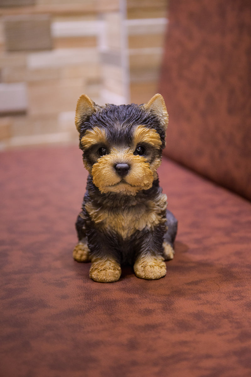 Pet Pals - Yorkshire Terrier Puppy Statue HI-LINE GIFT LTD.