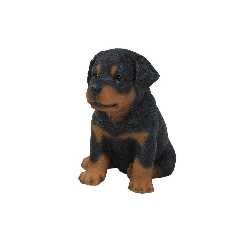 Rottweiler Puppy Statue HI-LINE GIFT LTD.