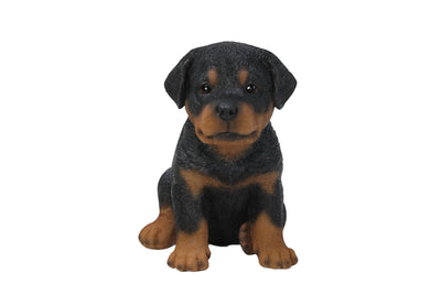 Rottweiler Puppy Statue HI-LINE GIFT LTD.