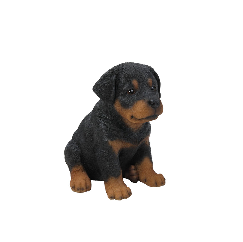 Rottweiler Puppy Statue HI-LINE GIFT LTD.