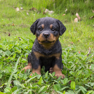 Rottweiler Puppy Statue HI-LINE GIFT LTD.