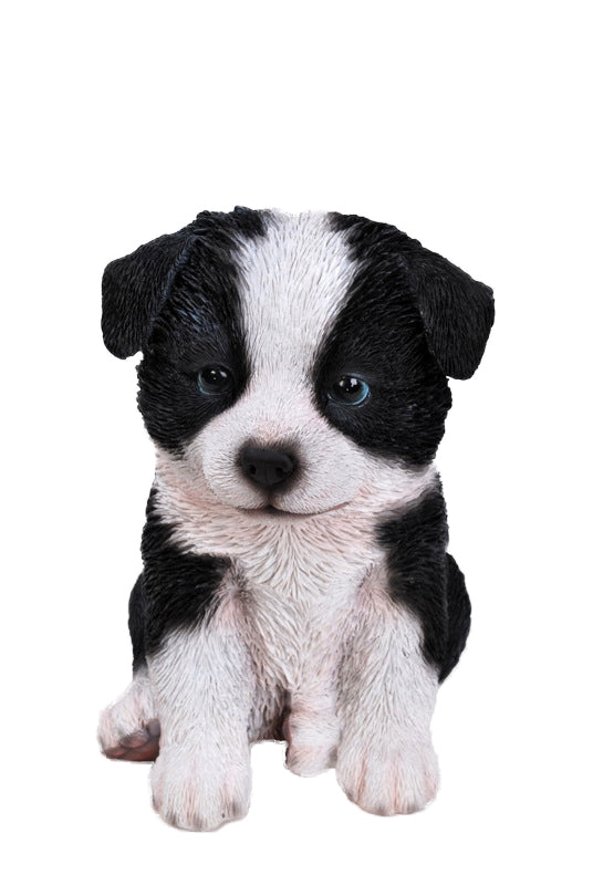 Pet Pals - Border Collie Puppy Statue HI-LINE GIFT LTD.