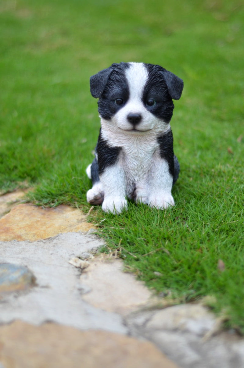 Pet Pals - Border Collie Puppy Statue HI-LINE GIFT LTD.