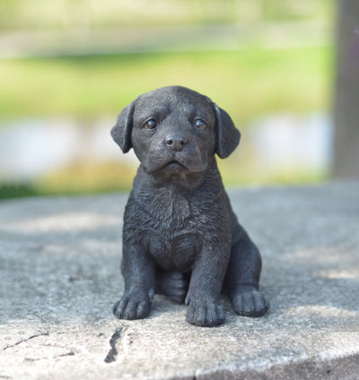 Pet Pals - Labrador Puppy Statue HI-LINE GIFT LTD.