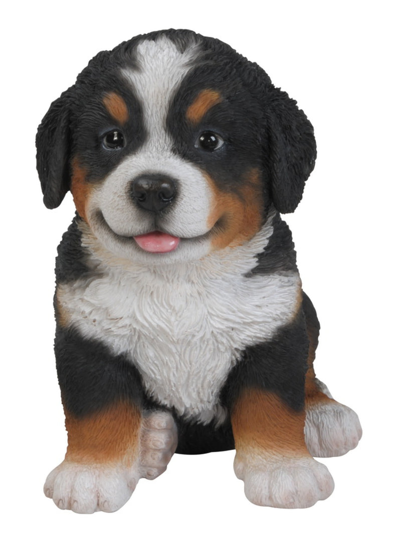 Pet Pals - Bernese Mountain Puppy Statue HI-LINE GIFT LTD.