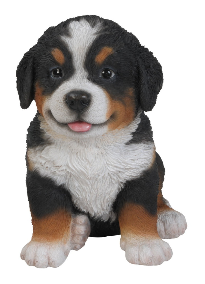 Pet Pals - Bernese Mountain Puppy Statue HI-LINE GIFT LTD.