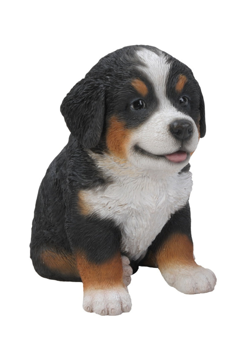 Pet Pals - Bernese Mountain Puppy Statue HI-LINE GIFT LTD.