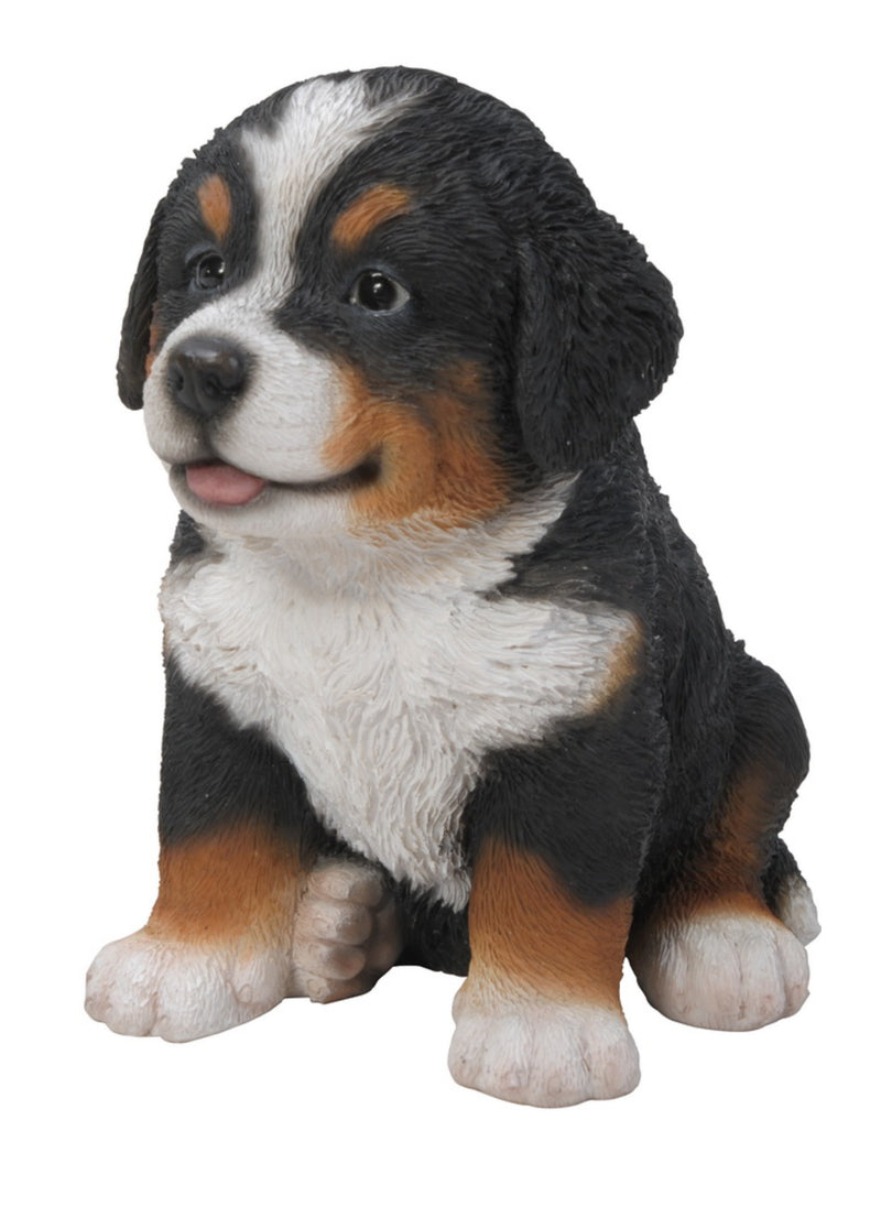 Pet Pals - Bernese Mountain Puppy Statue HI-LINE GIFT LTD.