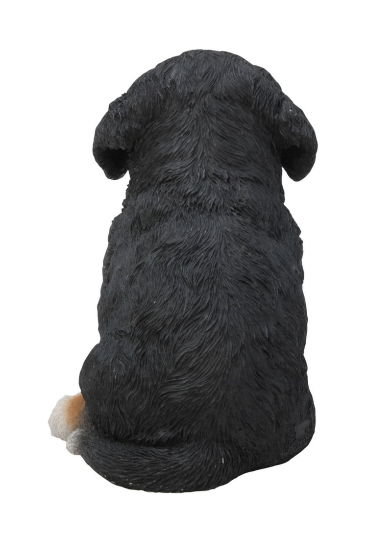 Pet Pals - Bernese Mountain Puppy Statue HI-LINE GIFT LTD.