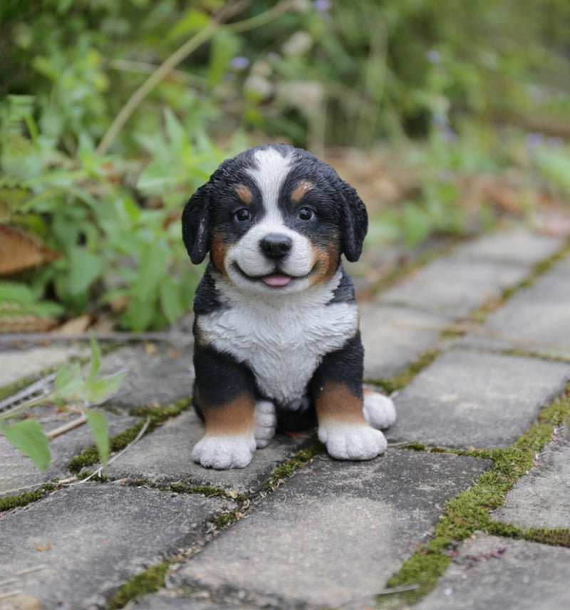 Pet Pals - Bernese Mountain Puppy Statue HI-LINE GIFT LTD.