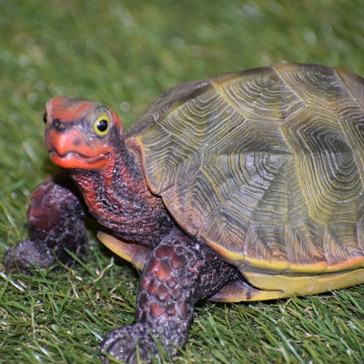 Japanese Land Turtle Statue HI-LINE GIFT LTD.