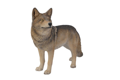 Coyote Standing Hi-Line Gift Ltd.