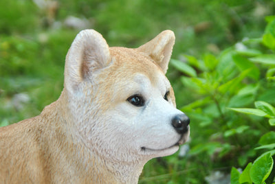 Akita Walking - Dog Statue HI-LINE GIFT LTD.