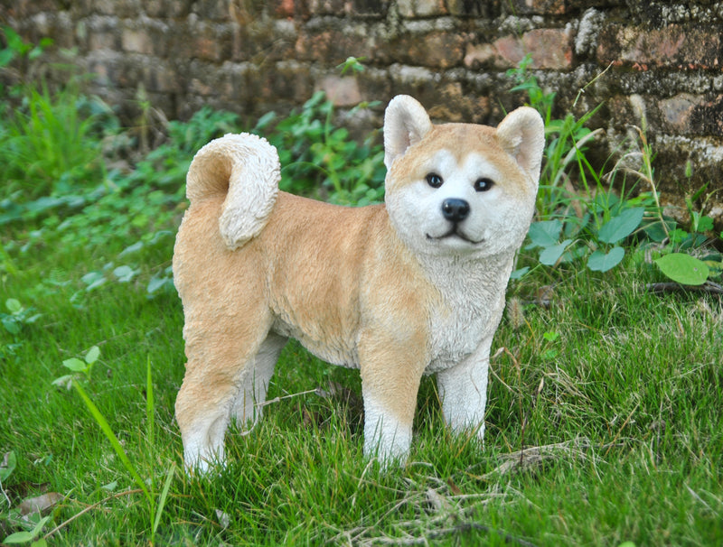 Akita Walking - Dog Statue HI-LINE GIFT LTD.