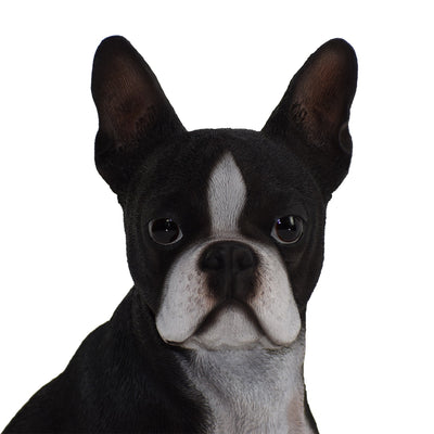 Boston Terrier Statue HI-LINE GIFT LTD.