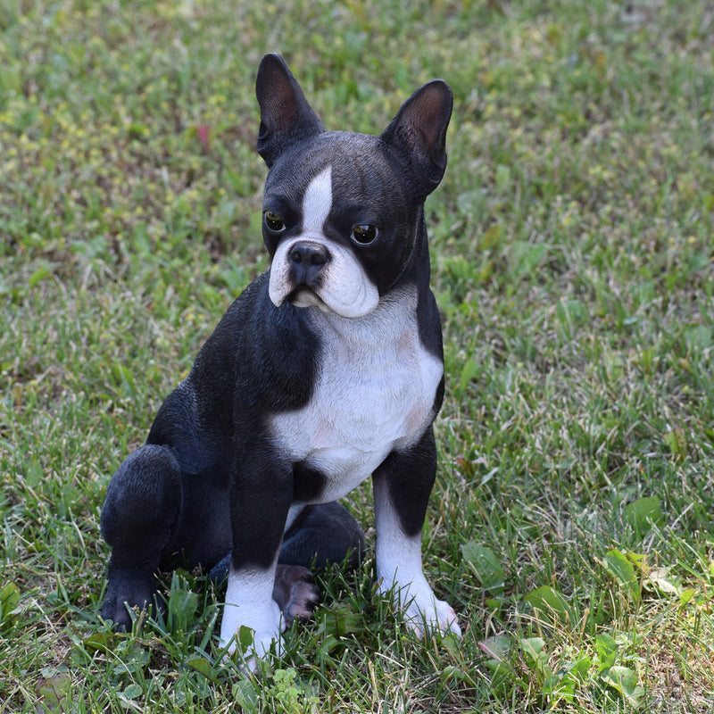 Boston Terrier Statue HI-LINE GIFT LTD.