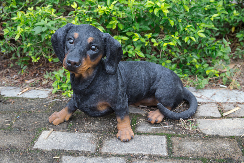 Dachshund Statue HI-LINE GIFT LTD.