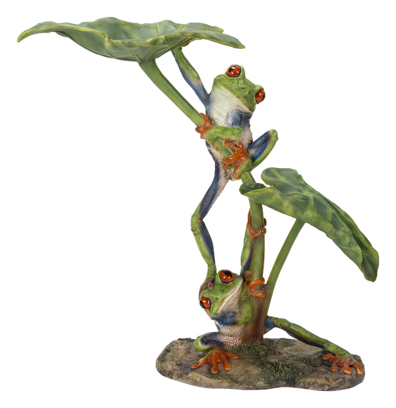 Lotus Leaf With Red-Eyed Tree Frog HI-LINE GIFT LTD.