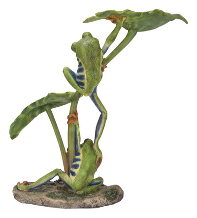 Lotus Leaf With Red-Eyed Tree Frog HI-LINE GIFT LTD.