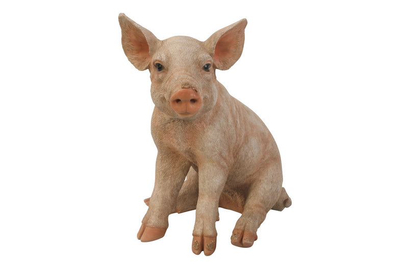 Pig Sitting Statue HI-LINE GIFT LTD.