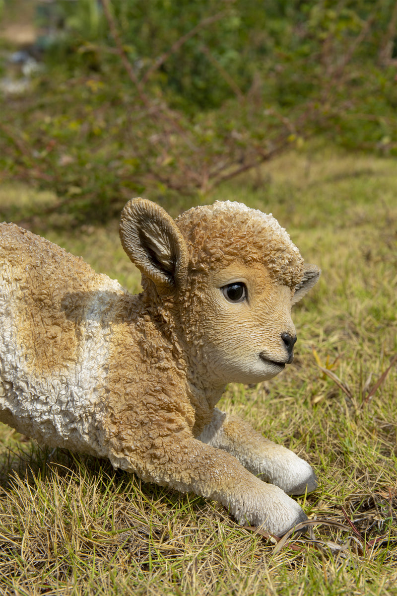 Lamb Playing Brown and White Statue HI-LINE GIFT LTD.