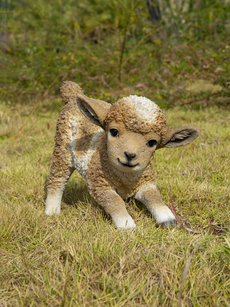 Lamb Playing Brown and White Statue HI-LINE GIFT LTD.