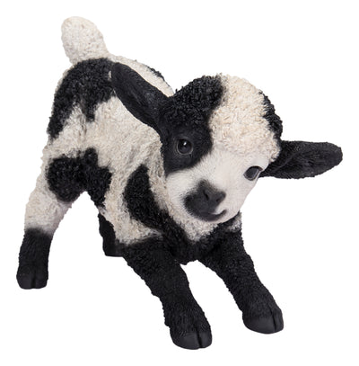 Small Black & White Baby Lamb Playing Hi-Line Gift Ltd.