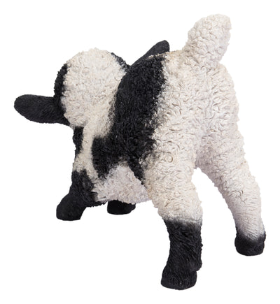 Small Black & White Baby Lamb Playing Hi-Line Gift Ltd.