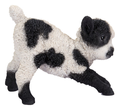 Small Black & White Baby Lamb Playing Hi-Line Gift Ltd.