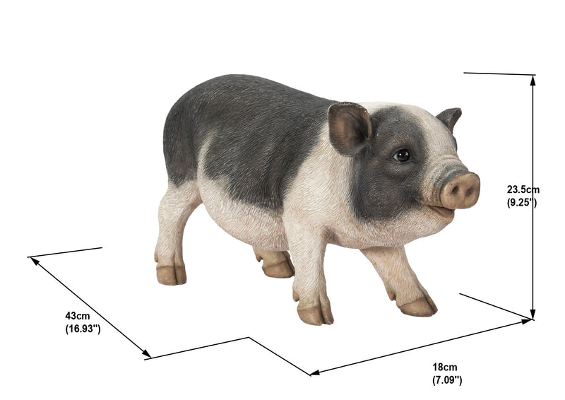 Pot Belly Pig Standing Statue HI-LINE GIFT LTD.