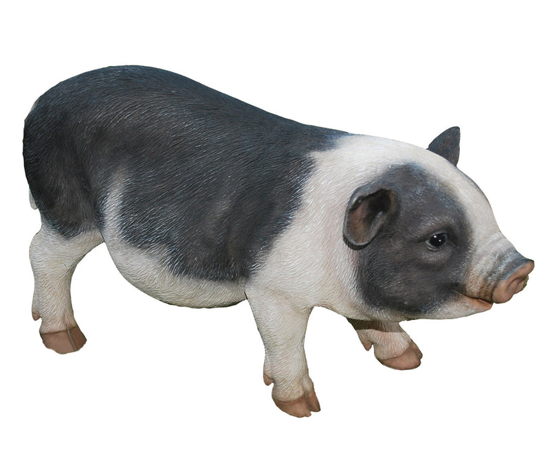 Pot Belly Pig Standing Statue HI-LINE GIFT LTD.