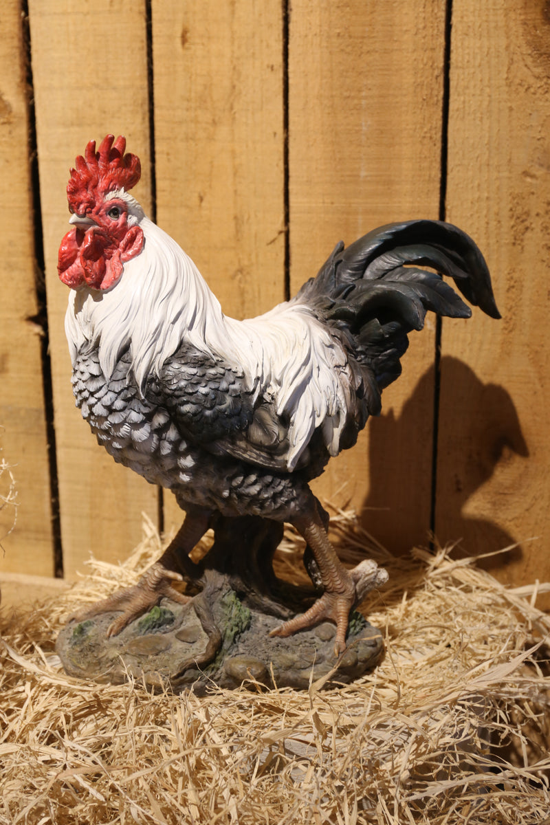 Rooster Statue HI-LINE GIFT LTD.