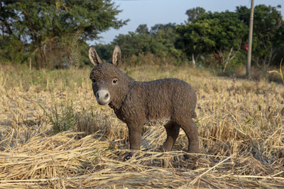 Donkey Standing Looking Left Statue HI-LINE GIFT LTD.