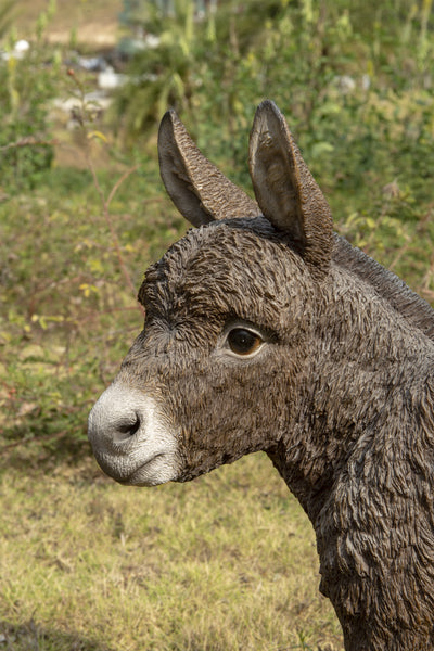 Donkey Standing Looking Left Statue HI-LINE GIFT LTD.