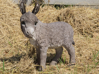 Donkey Standing Looking Left Statue - Grey HI-LINE GIFT LTD.