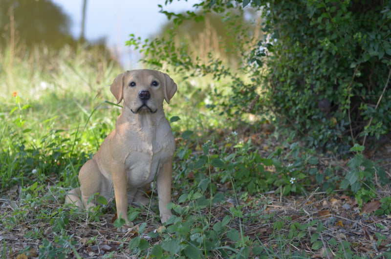 Labrador Retriever Sitting Statue HI-LINE GIFT LTD.