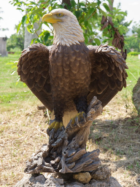 Bald Eagle On Stump W/Wings Out Statue Hi-Line Gift Ltd.