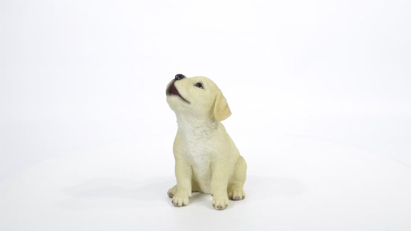 Howling Yellow Labrador Puppy