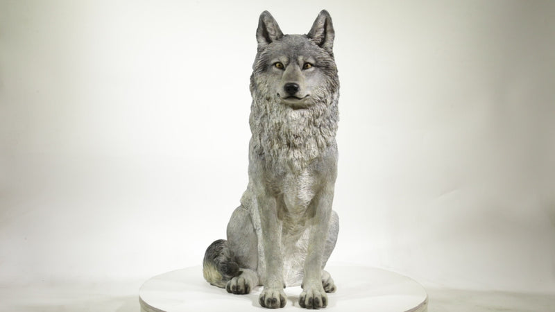 Hi-Line Exclusive - Sitting Grey Wolf Statue