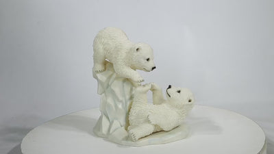 Polar Bear Cubs Playing