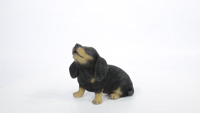 Hi-Line Exclusive - Howling Dachshund Puppy Statue