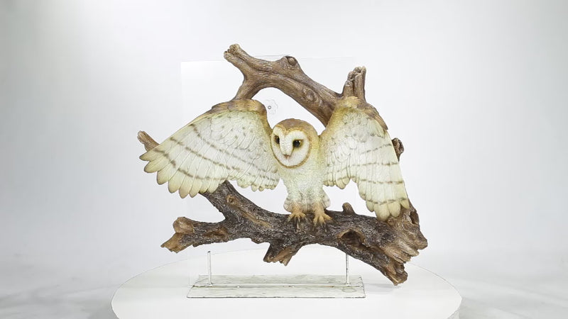 Flying Barn Owl Wall Plaque