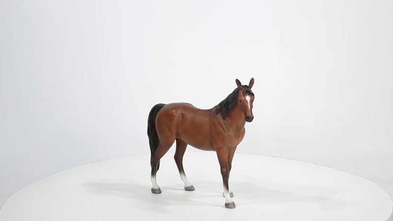 Standing Horse