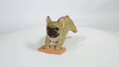 French Bulldog Mopping The Floor