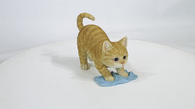 Kitten Mopping The Floor