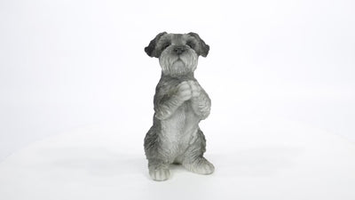 Praying Schnauzer Puppy Statue