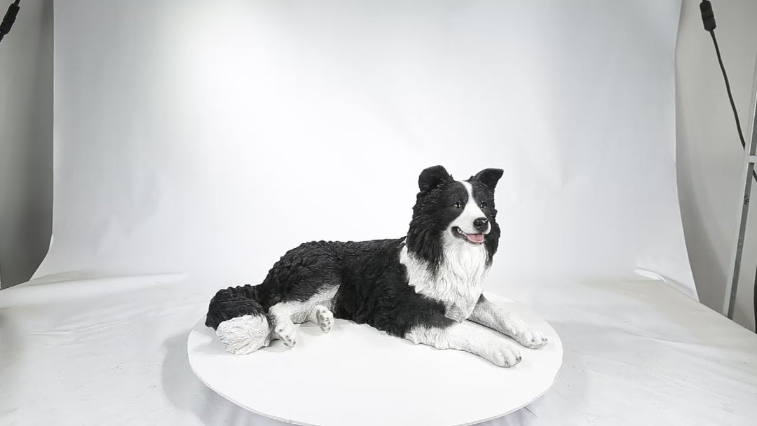 Lying Border Collie Home Decor Hi Line Gift Ltd